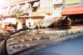 Stretched out cat lying on the top of a car parked on the street. Reflection on the windows of the lacquer. Royalty Free Stock Photo