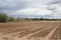 New plantings stretched out on a Large farm at the Long Islands East End Royalty Free Stock Photo