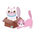 Stretching cat and other in the box cartoon pets