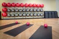 Stretching mats and exercise balls in gym