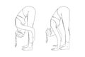 Stretching yogi woman. Hatha yoga forward fold pose variations. Vector illustration in white background