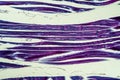 Striated muscle tissue under the microscope