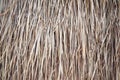 Striated patterns or the texture of dry straw Royalty Free Stock Photo