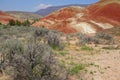 Striated red and brown paleosols in the Painted Hills Royalty Free Stock Photo