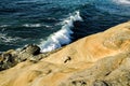 Striated Sandstone by the Surf