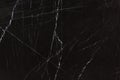 Strict black marble texture with natural hard surface.