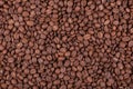 Roasted arabica coffee beans background or texture