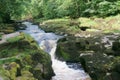 The Strid, norrowest point, River Wharfe