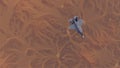 Strike Fighter Jet Aircraft High Altitude Above Arid Mountain Desert with Sediment Mudflat