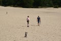 Strike a pose of a unknown dog at the beautiful landscape of heather fields interspersed with sand drifts dunes.