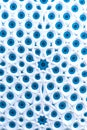 Abstract Blue Eyes Pattern Surveillance Protection Concept White and Blue Texture Background Royalty Free Stock Photo