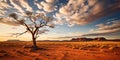 The striking beauty of the Australian Outback. Weather conditions are dry