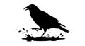 Black Crow Silhouette Splashing in Puddle Vector Illustration Royalty Free Stock Photo