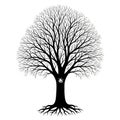 Silhouette of a bare tree with intricate branches and roots, isolated on white background Royalty Free Stock Photo