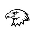 Bold Eagle Head Logo Vector Illustration Royalty Free Stock Photo