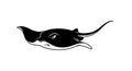 Stylized Manta Ray Vector Illustration Royalty Free Stock Photo