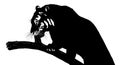 Tiger Silhouette on Tree Branch Vector Illustration Royalty Free Stock Photo