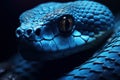 Striking Blue viper snake face. Generate Ai