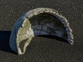Broken Seashell on Black Sand Royalty Free Stock Photo