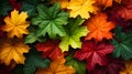 A striking close-up of leaves transitioning through a gradient of green to fiery autumn red, depicting the beauty of seasonal chan