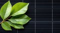 Striking contrast, a single green leaf on dark tile creates visually appealing composition Royalty Free Stock Photo