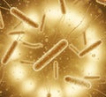 The Microscopic Invasion: Active Bacteria and Health Threats Royalty Free Stock Photo