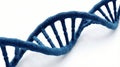 Blue DNA Double Helix Structure on White Background Royalty Free Stock Photo