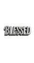 Blessed Word in Silver 3D Text on White Background Royalty Free Stock Photo