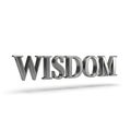 3D Metallic Wisdom Text on White Background Royalty Free Stock Photo