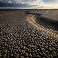 Striking desert pavement formation with sunlit mud cracks curves toward the distant horizon line Royalty Free Stock Photo