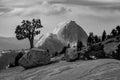 Striking greyscale shot of the Half Dome batholith with lonely trees in the foreground, Yosemite