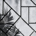 Tropical Leaf Shadow on Geometric Concrete Wall Royalty Free Stock Photo