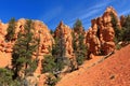 Red Rock State Park Sandstone Hoodoos and Bristlecone Pines in Southwest Desert Landscape, Utah, USA Royalty Free Stock Photo