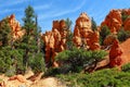 Hoodoos and Pines in Red Rock Canyon State Park in the American Southwest, Utah, USA