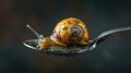Slow and Steady: Snail on Spoon Against Dark Background