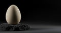 Dramatic contrast of a soft egg on lava stone Royalty Free Stock Photo