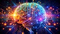 Neural Networks and Circuitry Fusion