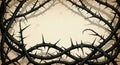 Dark Thorny Branches Forming a Crown or Frame Against a Faded Background Royalty Free Stock Photo