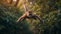 Aggressive Monkey Leap Royalty Free Stock Photo
