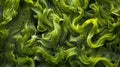 A striking image of nematodes entangled in a thick mat of tangled green algae in a stagnant pool their intricate Royalty Free Stock Photo