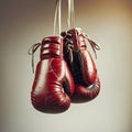 A pair of red boxing gloves hanging from a rope.