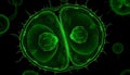 Glowing Green Cellular Division Royalty Free Stock Photo