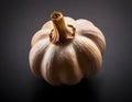 Single Head of Fresh Garlic on Dark Background Royalty Free Stock Photo