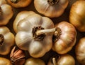 Single Head of Fresh Garlic on Dark Background Royalty Free Stock Photo
