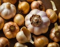 Single Head of Fresh Garlic on Dark Background Royalty Free Stock Photo