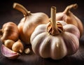 Single Head of Fresh Garlic on Dark Background Royalty Free Stock Photo