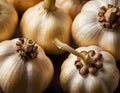 Single Head of Fresh Garlic on Dark Background Royalty Free Stock Photo