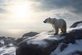 Solitary Polar Bear on Rocky Outcrop in Snowy Arctic Landscape, Winds Creating Movement and Energy