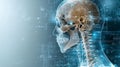 Exploring the Inner Workings of a Skeleton Through Advanced Brain Scanning Technology in a Unique X-ray Visualization Concept
