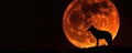 A striking image of a wolf silhouetted against the blood moon during a lunar eclipse, the moon